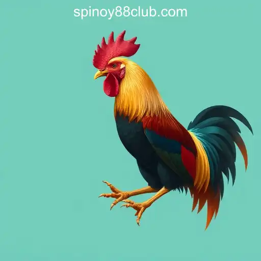 VIP Service SPINOY88 Online Casino Philippines - 24/7 Support and Exclusive Benefits